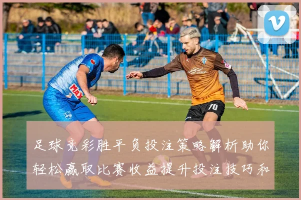 足球竞彩胜平负投注策略解析助你轻松赢取比赛收益提升投注技巧和经验分享