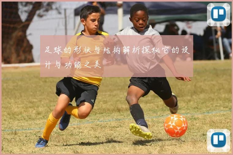 足球的形状与结构解析探秘它的设计与功能之美